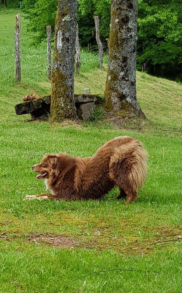 Nita owaci of Sunny Wood Farm