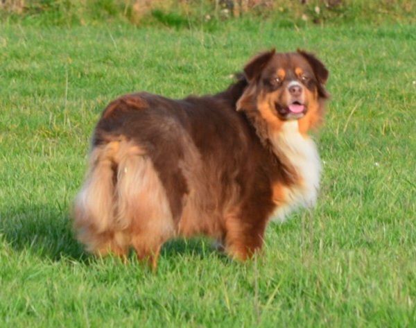 Nita owaci of Sunny Wood Farm